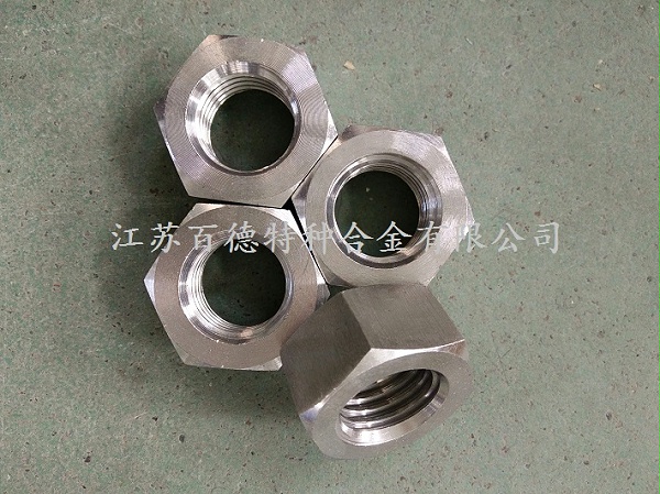 耐蝕合金Nitronic60(S21800)螺母